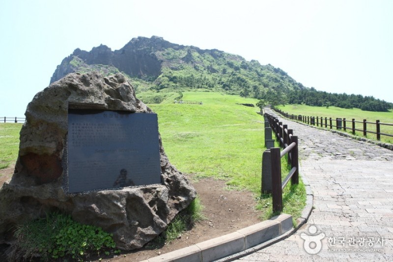 城山日出峰[聯合國指定世界自然遺產] (16/31)