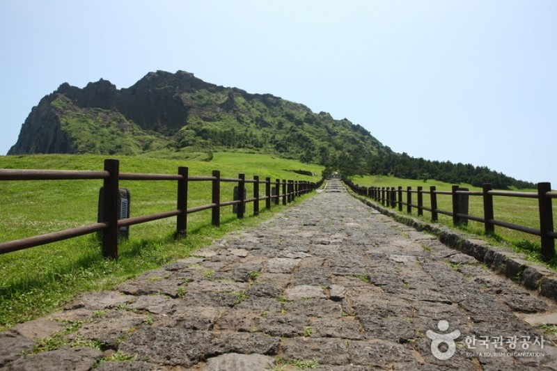 城山日出峰[聯合國指定世界自然遺產] (17/31)