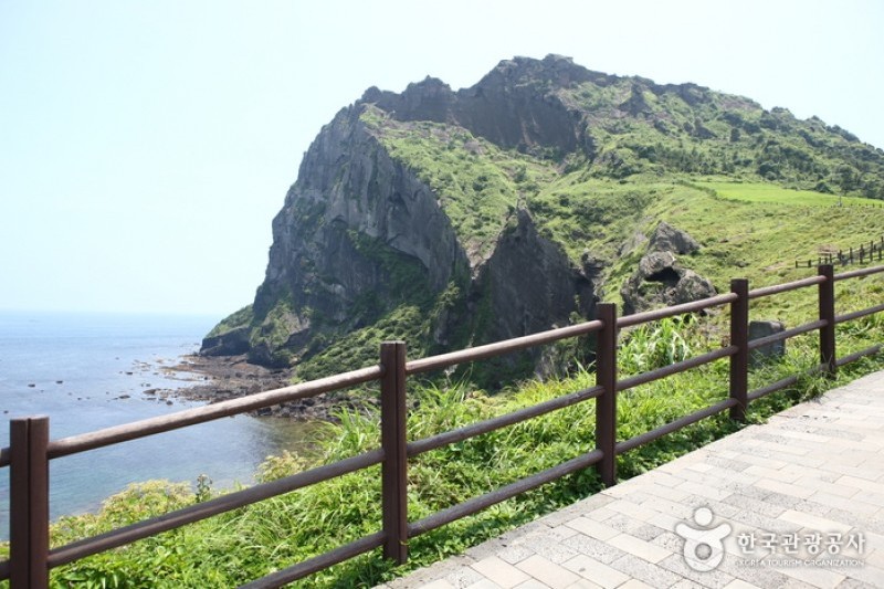 城山日出峰[聯合國指定世界自然遺產] (19/31)