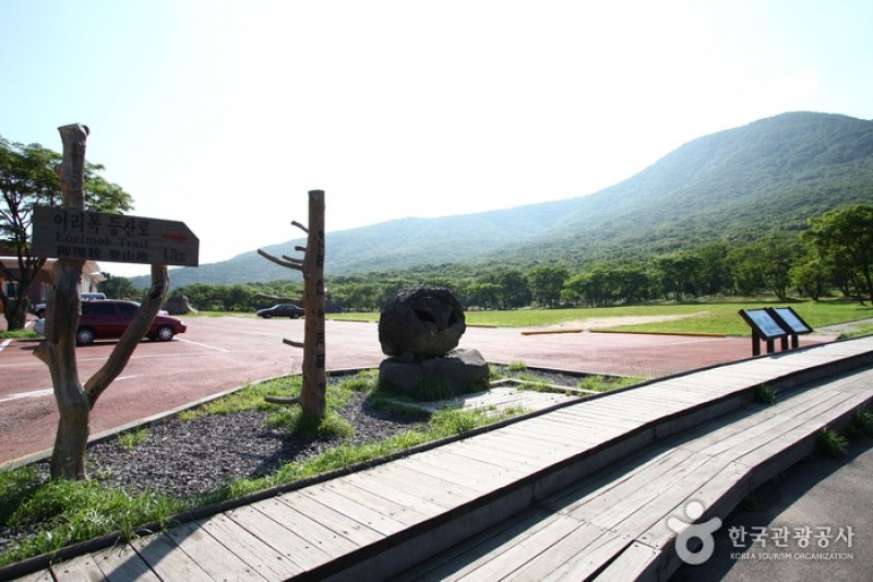 漢拿山國立公園[聯合國教科文組織世界自然遺產] (1/19)