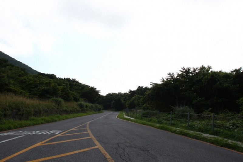 漢拿山國立公園[聯合國教科文組織世界自然遺產] (6/19)