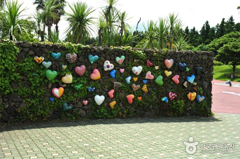 濟州愛情樂園 (1/21)