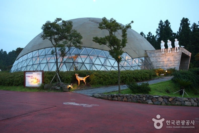 濟州愛情樂園 (15/21)