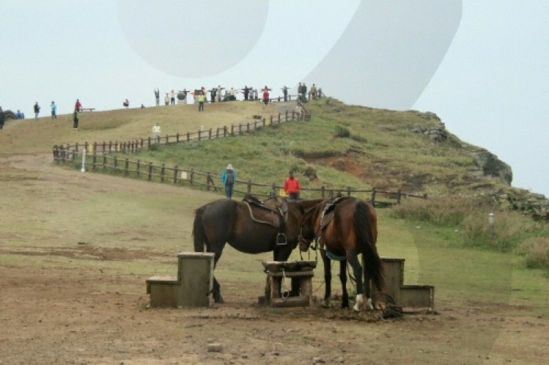 牛島海洋道立公園 (7/16)
