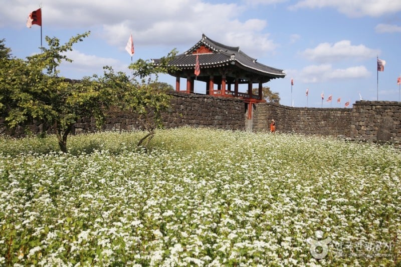 城邑民俗村