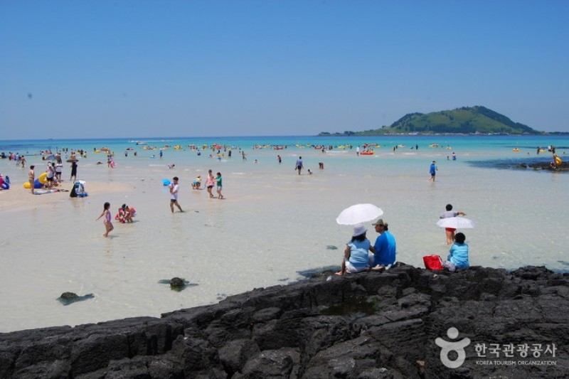 挾才海邊 (5/5)