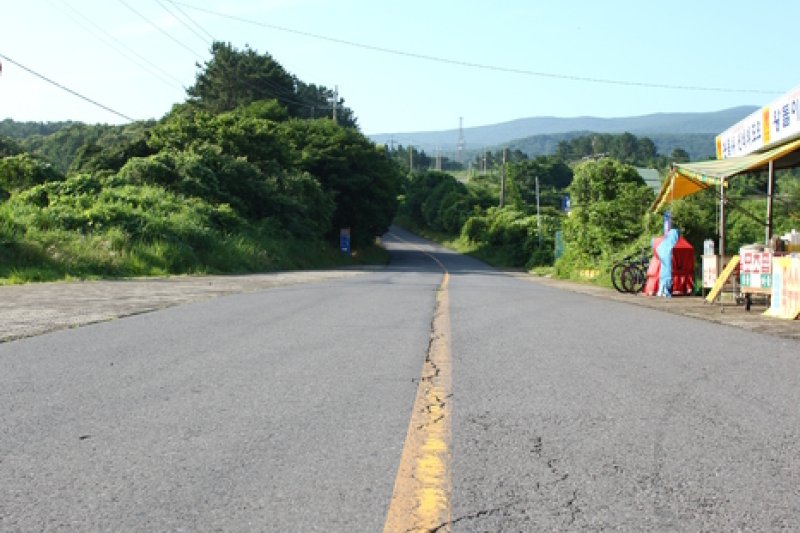 神秘的道路