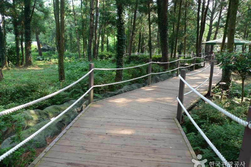 金寧迷宮公園 (1/24)