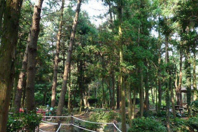 金寧迷宮公園 (2/24)