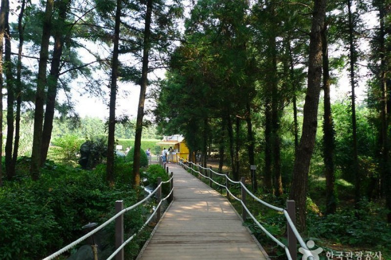 金寧迷宮公園 (4/24)