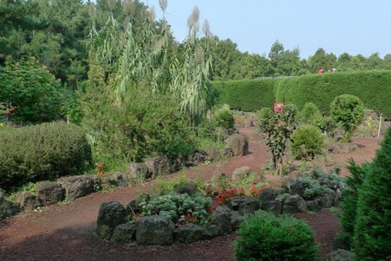 金寧迷宮公園 (6/24)