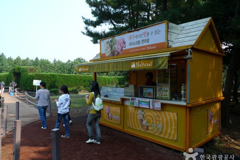 金寧迷宮公園 (7/24)