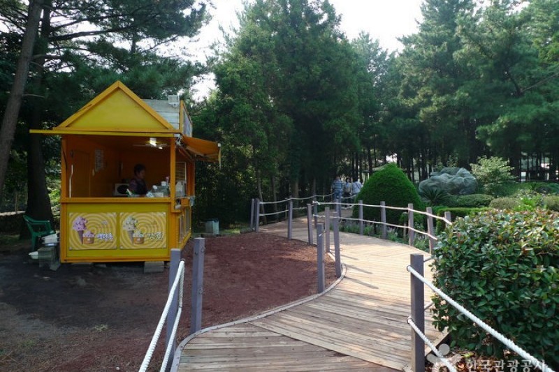 金寧迷宮公園 (9/24)