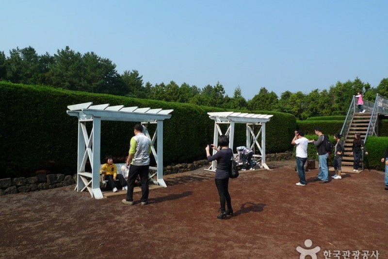 金寧迷宮公園 (10/24)