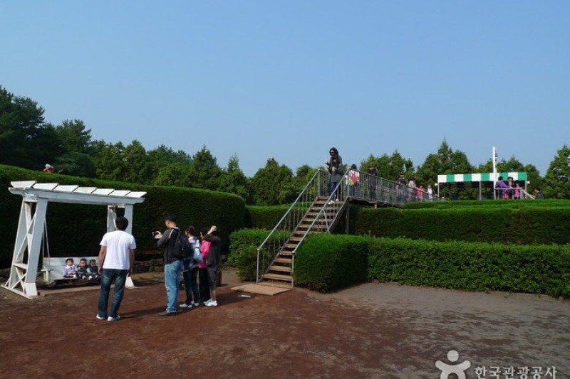金寧迷宮公園 (12/24)