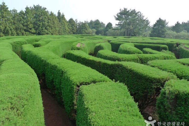金寧迷宮公園 (14/24)