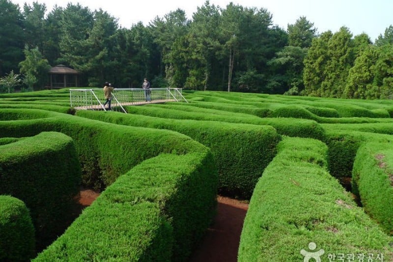 金寧迷宮公園 (15/24)