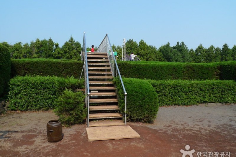 金寧迷宮公園 (18/24)