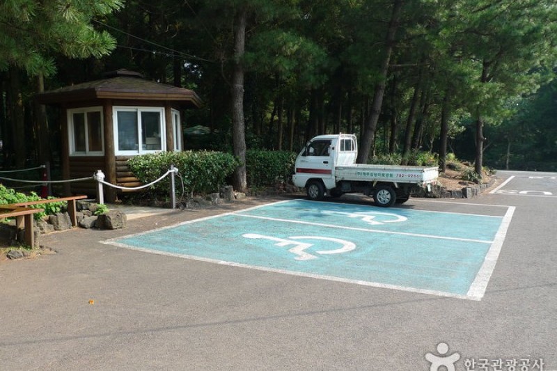 金寧迷宮公園 (20/24)
