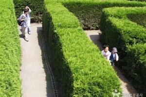 金寧迷宮公園