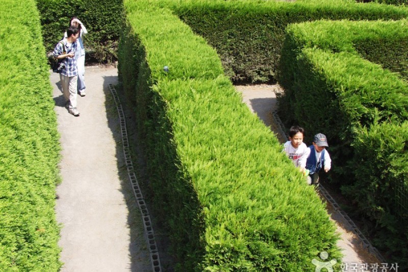 金寧迷宮公園 (23/24)