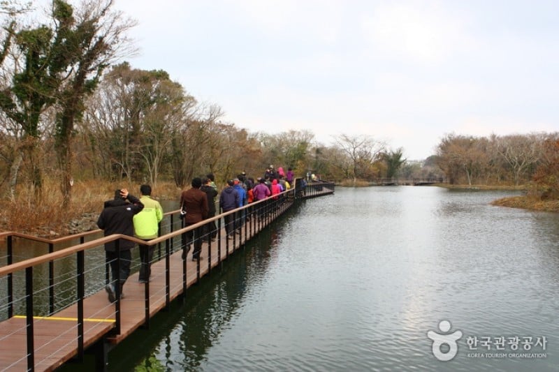 Eco Land主題公園