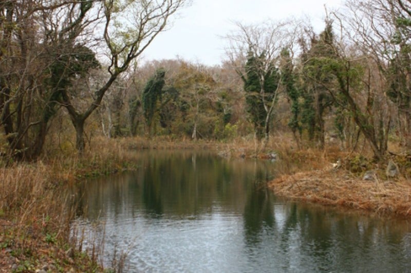 Eco Land主題公園
