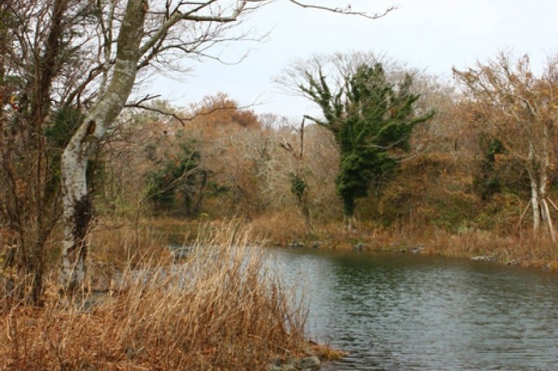 Eco Land主題公園