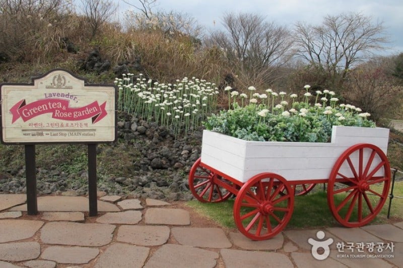 Eco Land主題公園