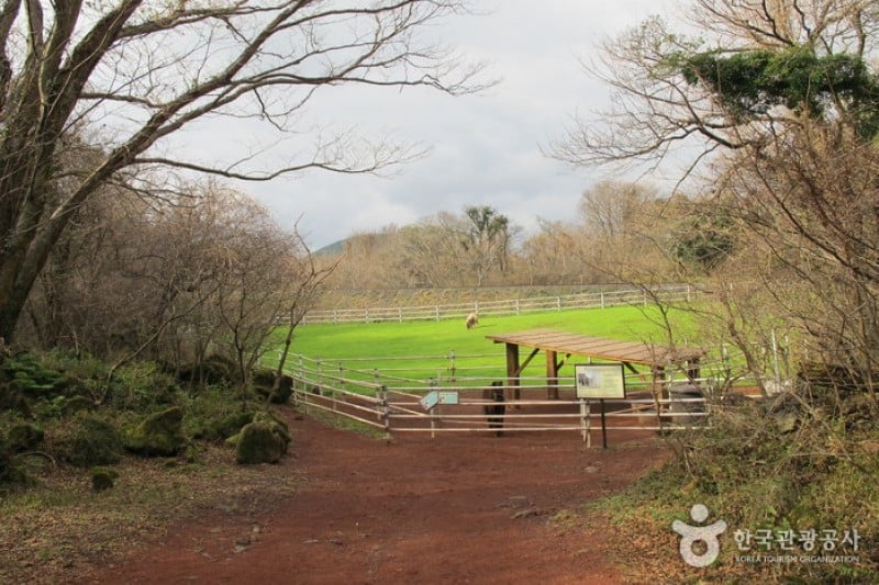Eco Land主題公園