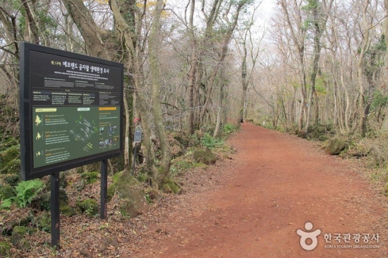 Eco Land主題公園