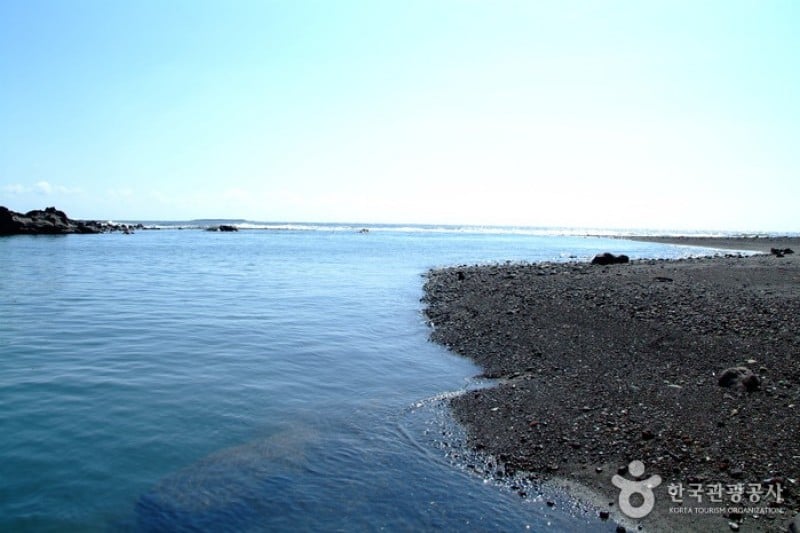 牛沼河口