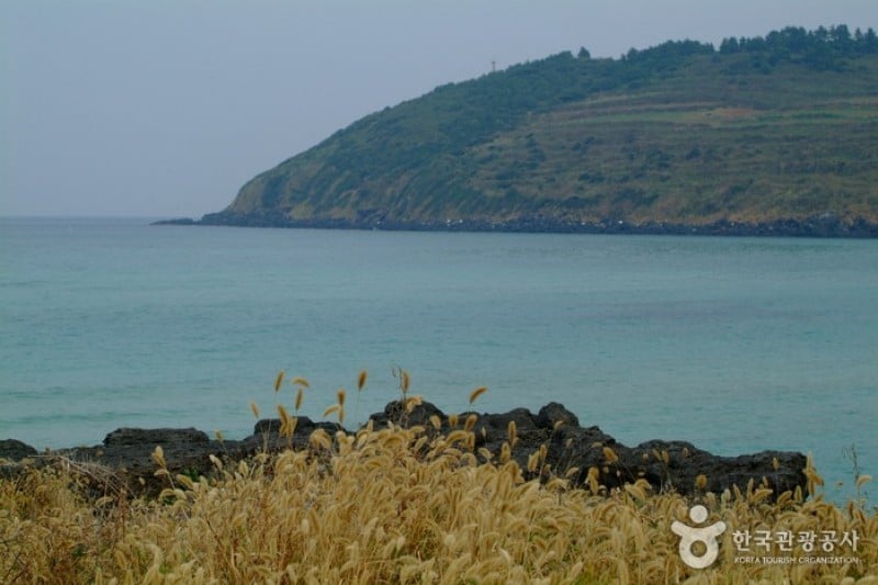 咸德犀牛峰海邊 (2/23)