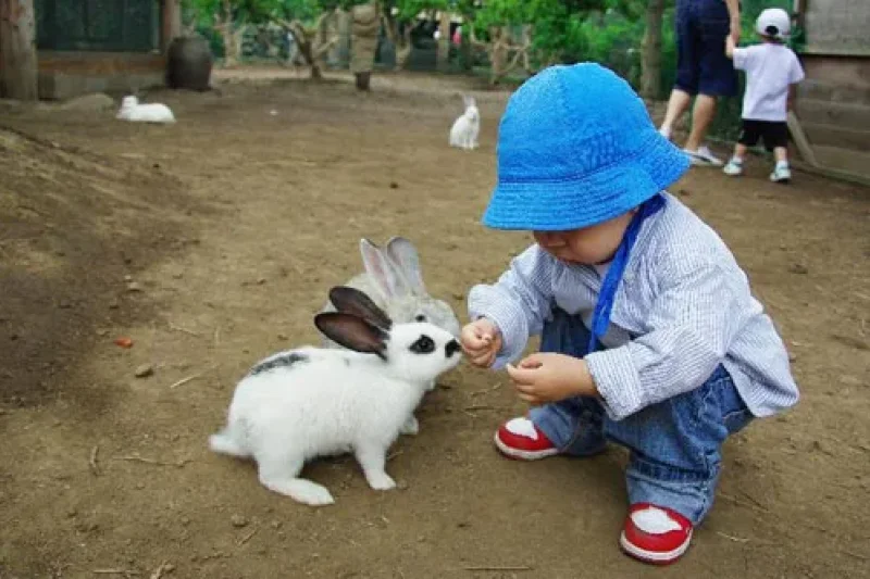 休愛里自然生活公園(휴애리자연생활공원) (5/16)