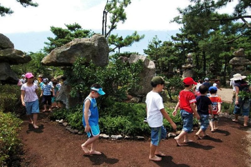 休愛里自然生活公園(휴애리자연생활공원) (8/16)