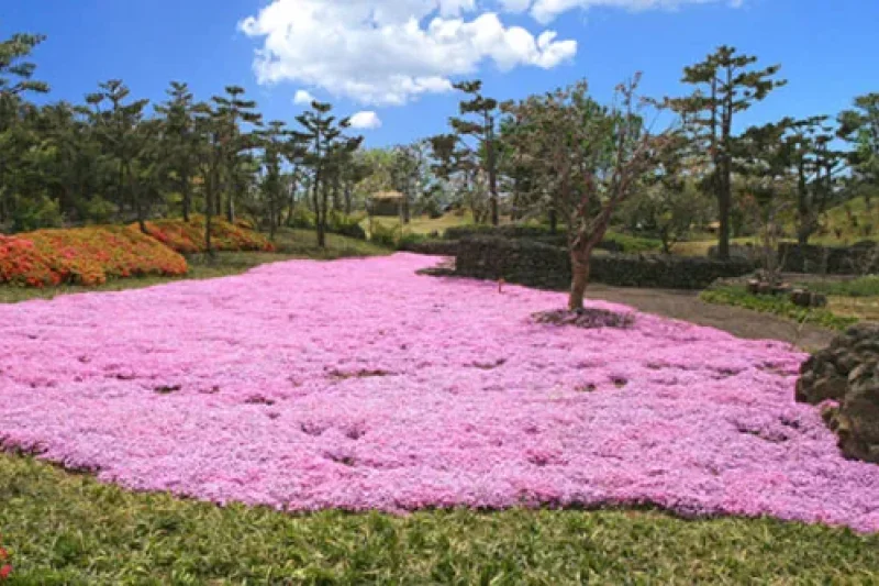 休愛里自然生活公園(휴애리자연생활공원) (9/16)