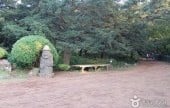 榧子林