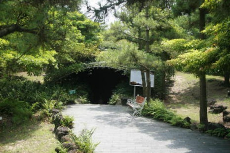 雙龍窟(Hallim Park)  (4/4)