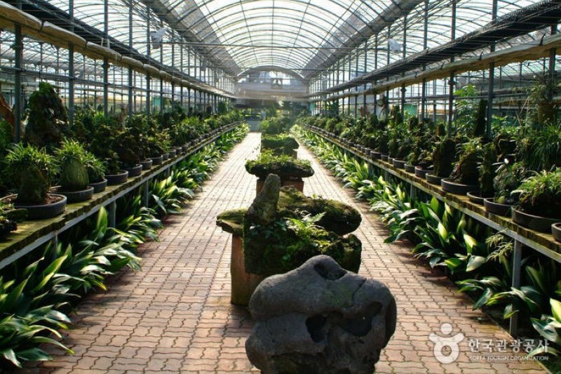 盆景賞石(Seokbujak)博物館 (2/4)