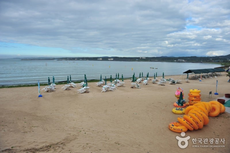 新陽涉地可支海邊