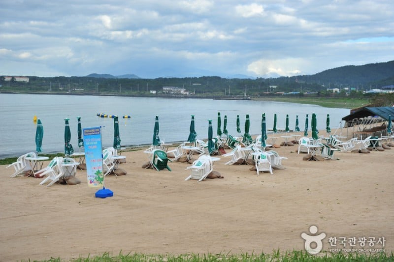 新陽涉地可支海邊