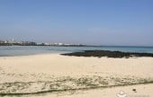 飛揚島