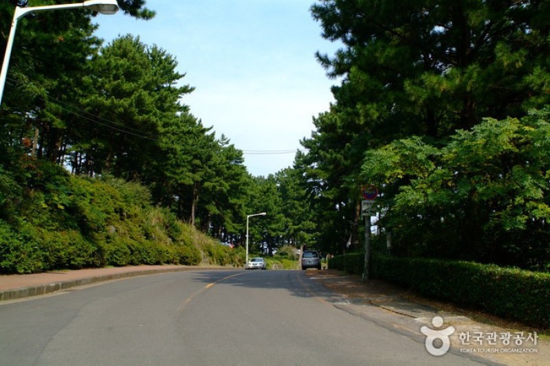 沙羅峰公園