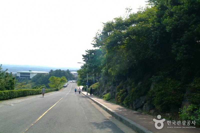 沙羅峰公園