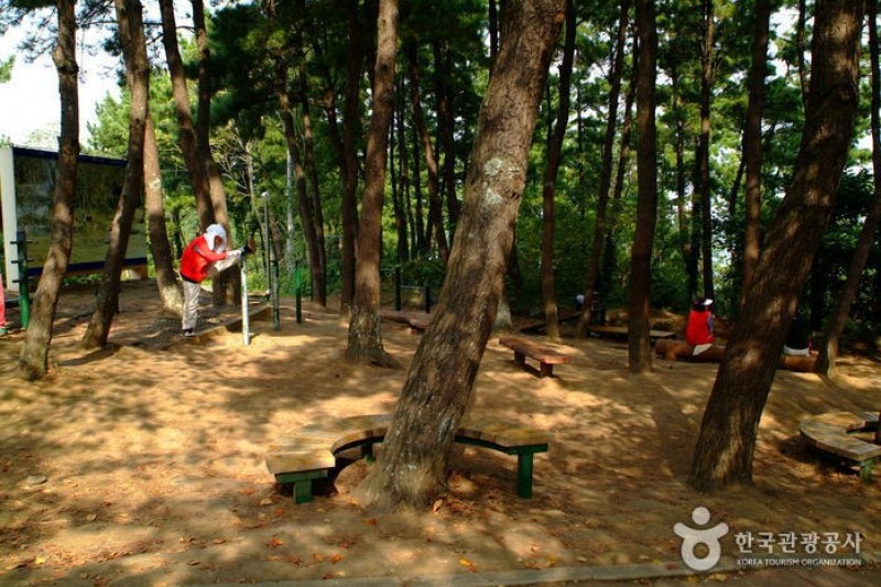 沙羅峰公園