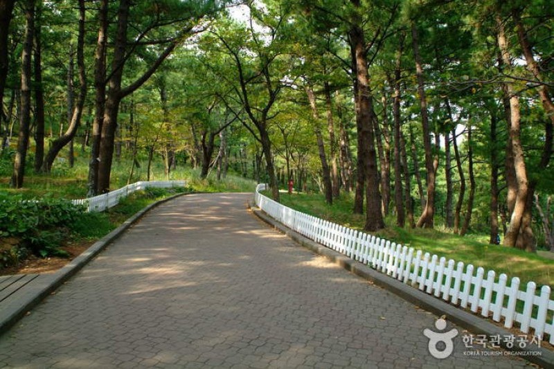 沙羅峰公園