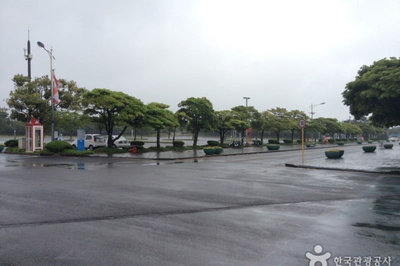 Let's run濟州公園(濟州賽馬公園) (3/4)