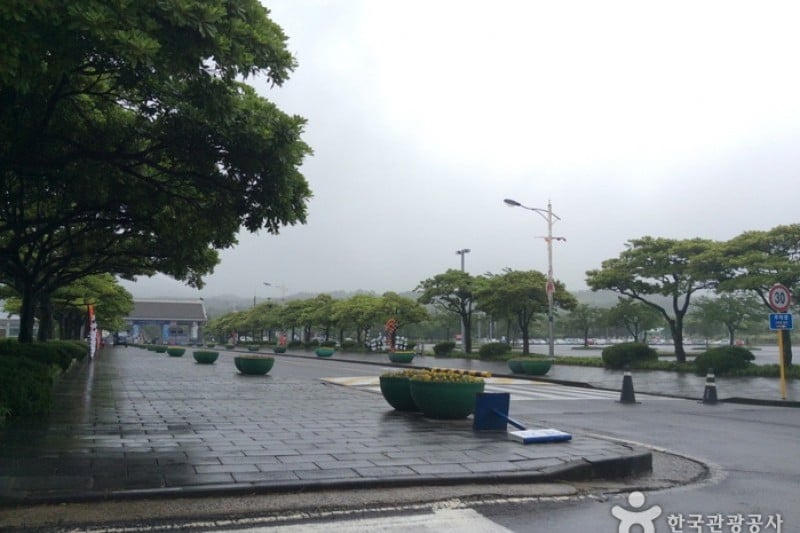 Let's run濟州公園(濟州賽馬公園) (4/4)