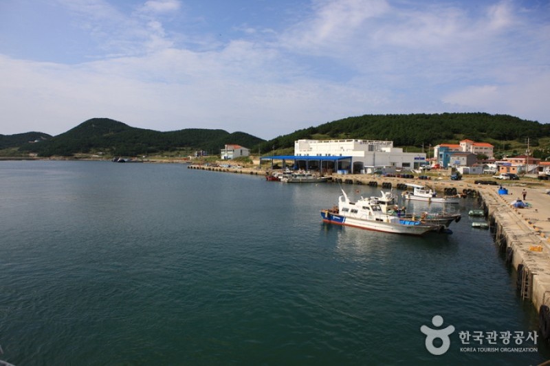 楸子島