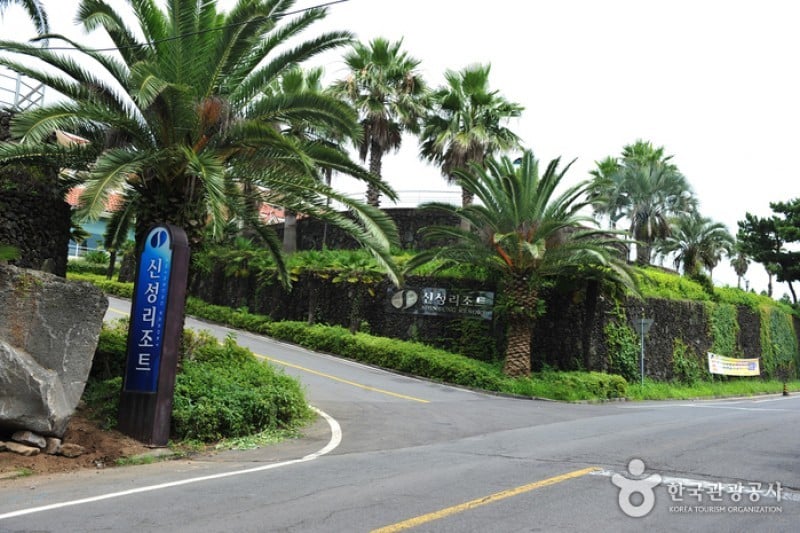 Shinsung渡假村 (3/4)
